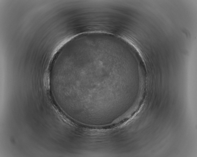 X0000115120925200911101623