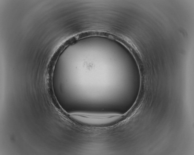 X0000115120926200911101623