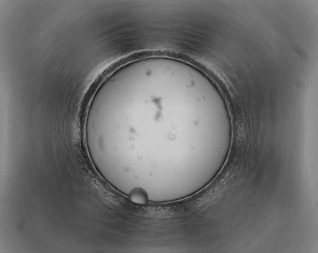 X0000115120927200911101623