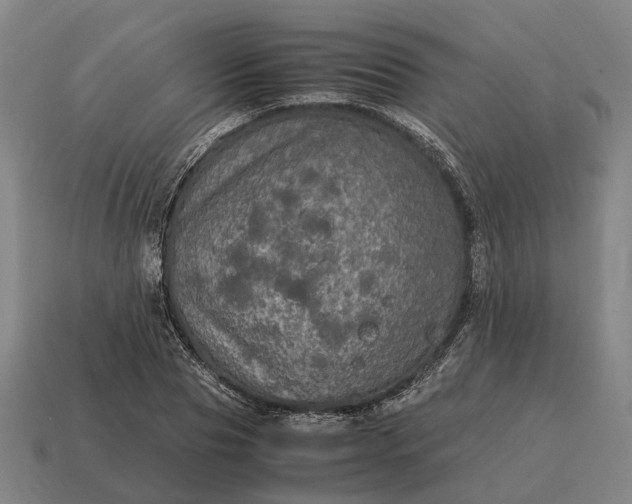 X0000115120929200911101623