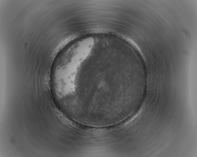 X0000115120930200911101623