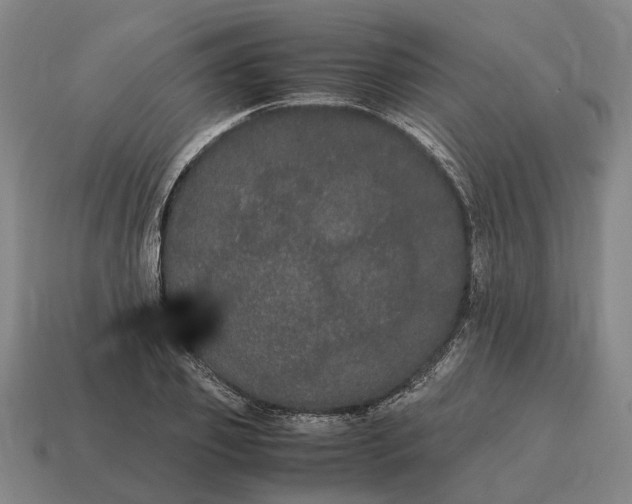 X0000115120933200911101623