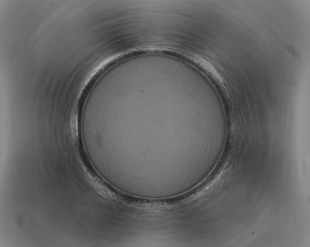 X0000115120934200911101623