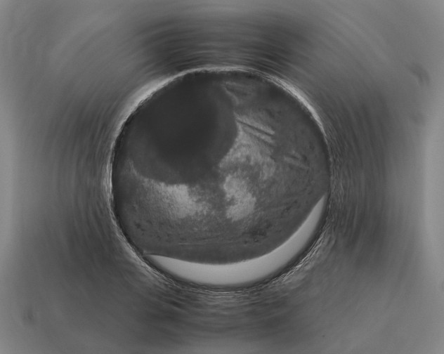 X0000115120935200911101623