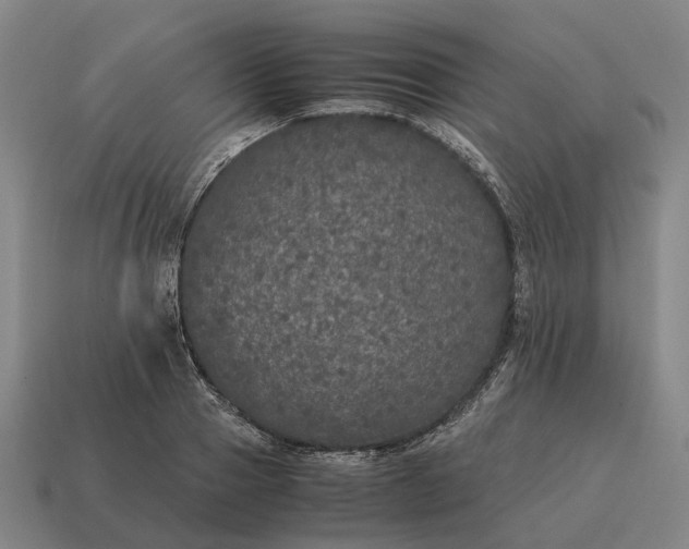 X0000115120937200911101623