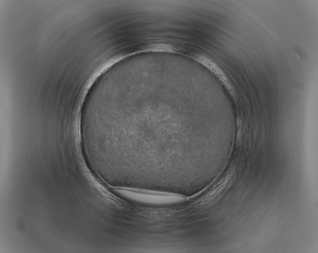 X0000115120939200911101624