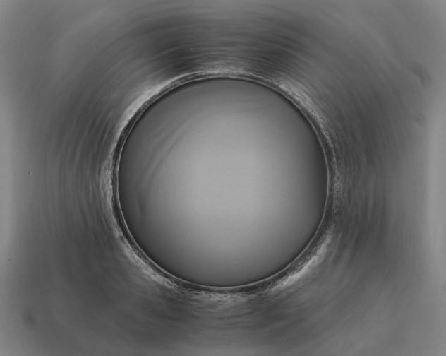 X0000115120941200911101624