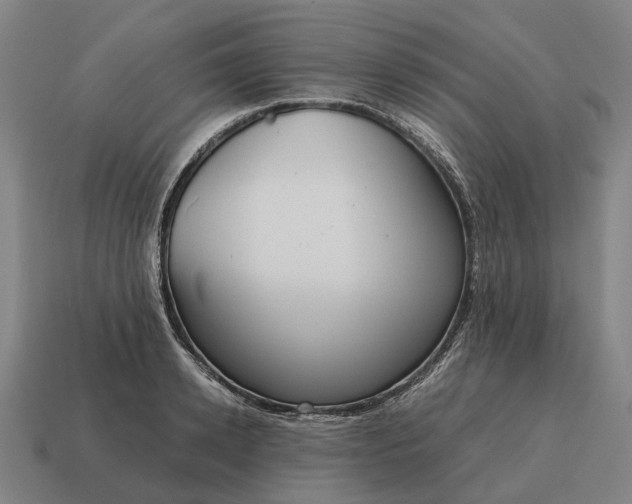 X0000115120942200911101624