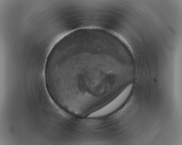 X0000115120943200911101624