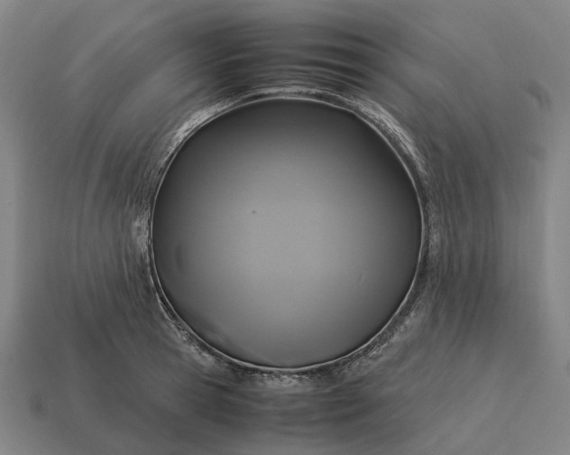 X0000115120945200911101624