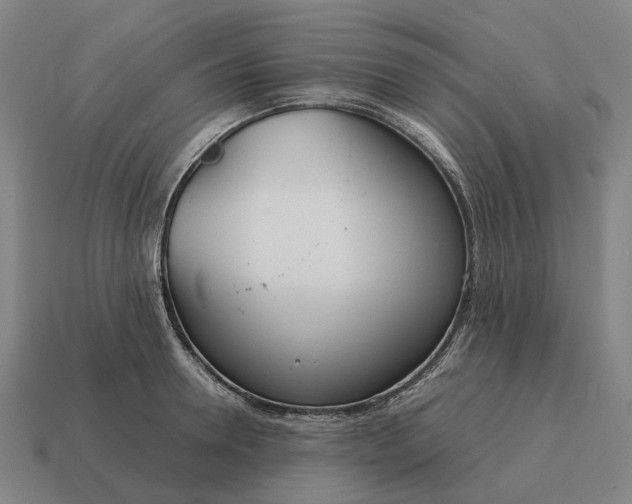 X0000115120946200911101624