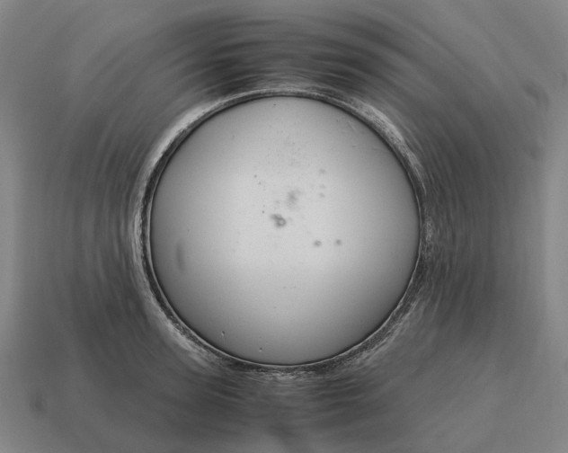 X0000115120947200911101624