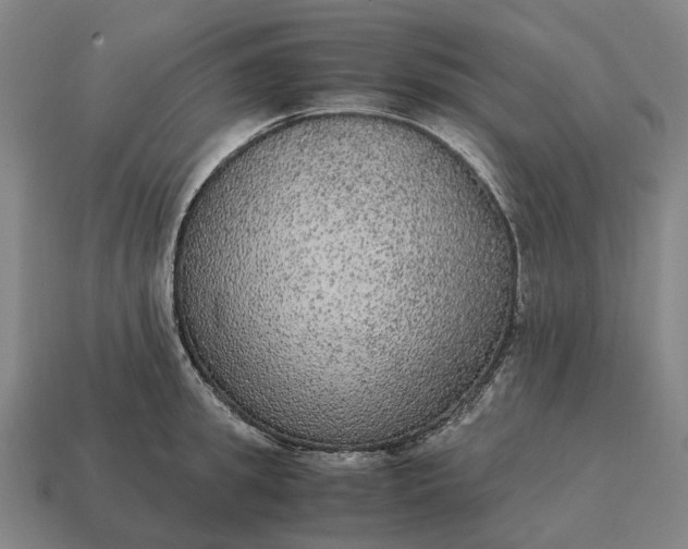 X0000115120949200911101624