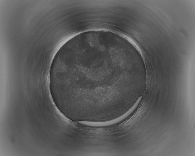 X0000115120951200911101624