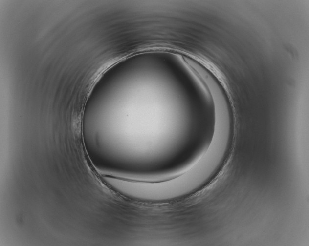 X0000115120953200911101624