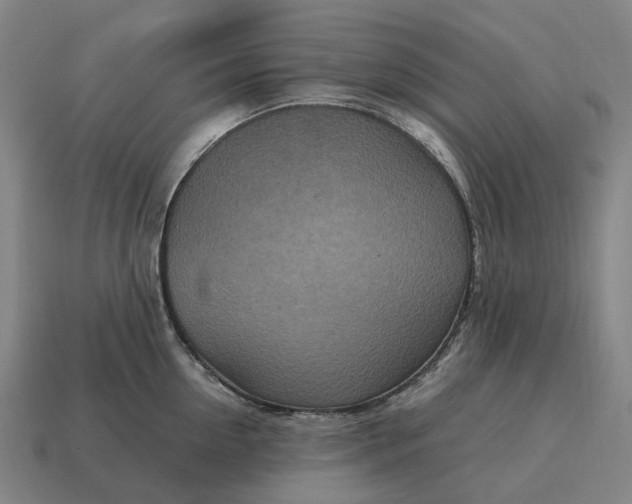 X0000115120954200911101624