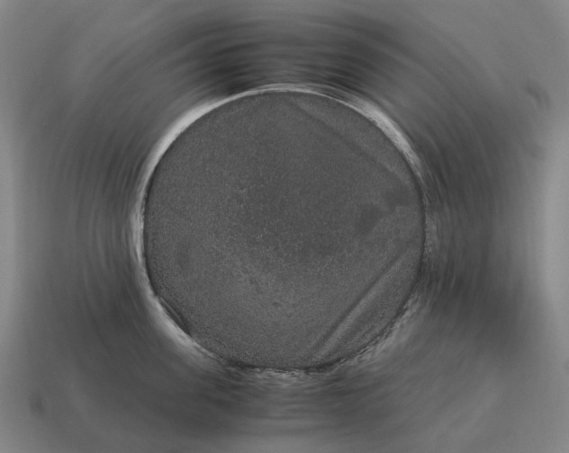 X0000115120955200911101624