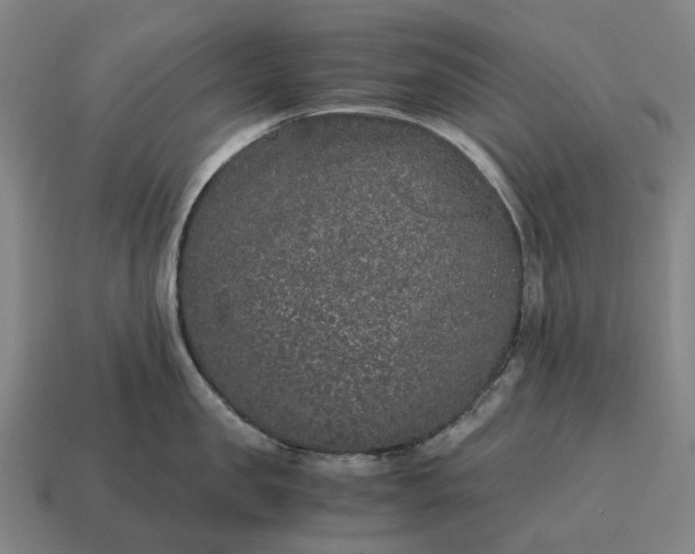 X0000115120957200911101624