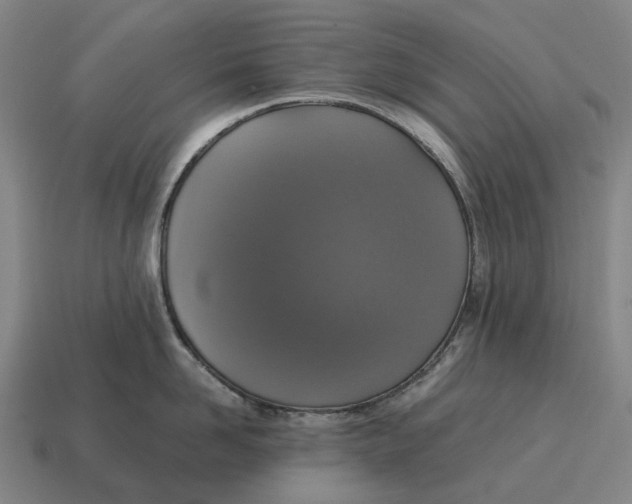 X0000115120958200911101624