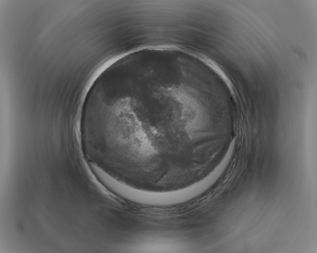 X0000115120959200911101624