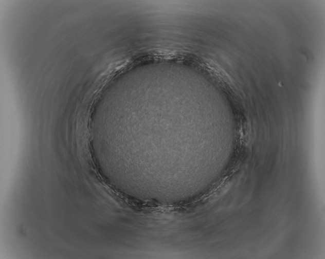 X0000115120961200911101623