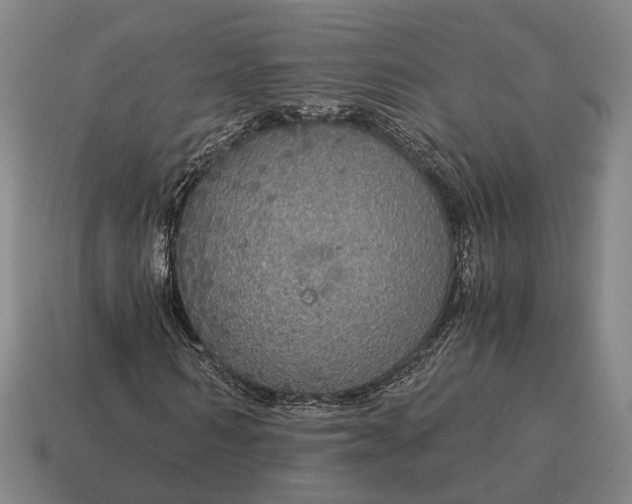 X0000115120962200911101623
