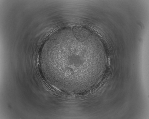 X0000115120963200911101623