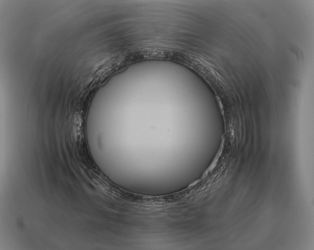 X0000115120964200911101623