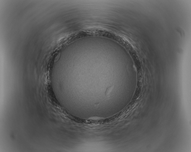 X0000115120965200911101623