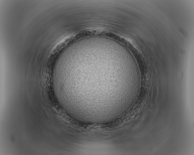 X0000115120967200911101623