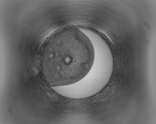 X0000115120968200911101623