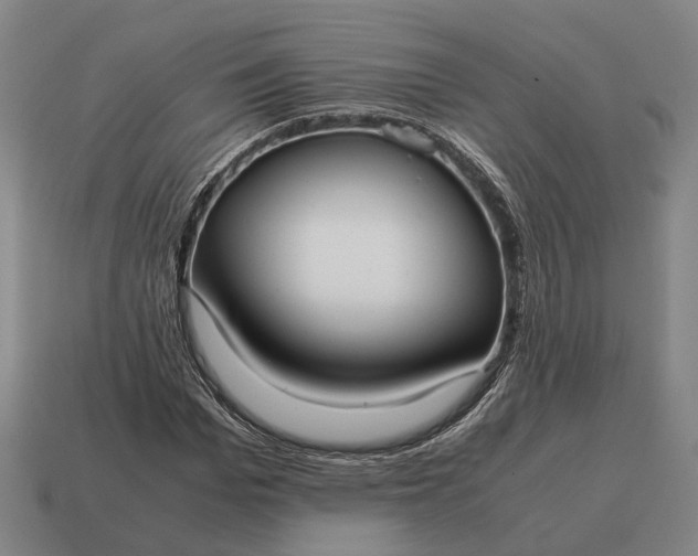 X0000115120969200911101623