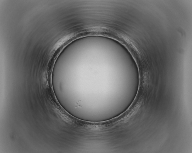 X0000115120970200911101623