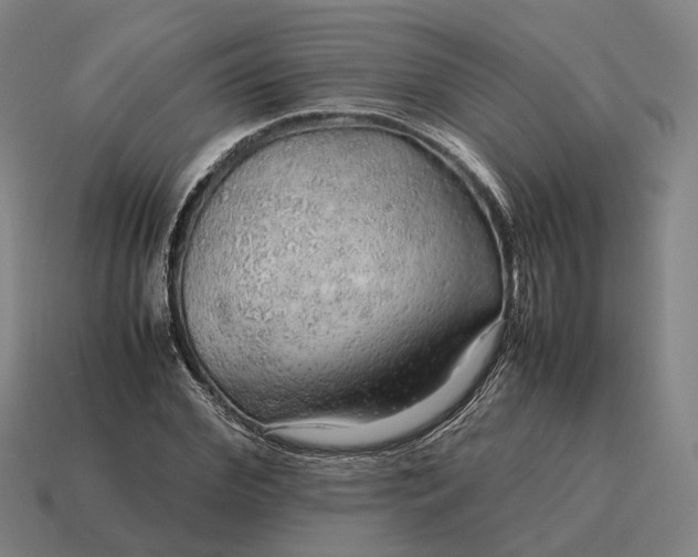 X0000115120972200911101623