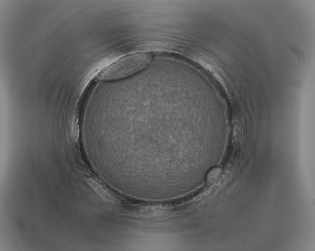 X0000115120973200911101623