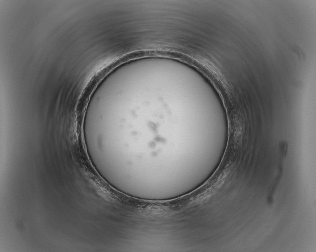X0000115120974200911101623
