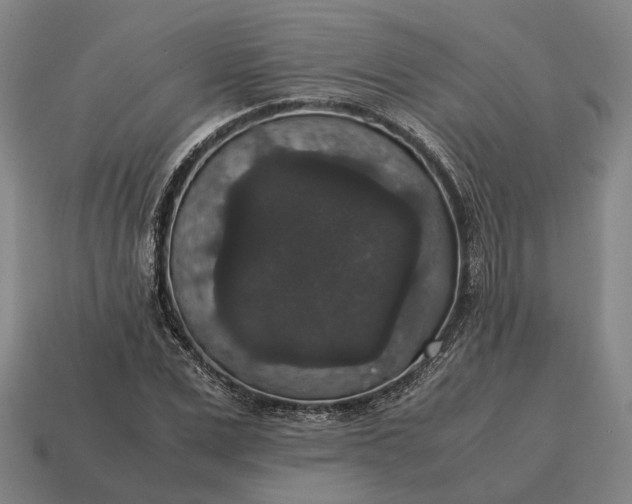 X0000115120975200911101623