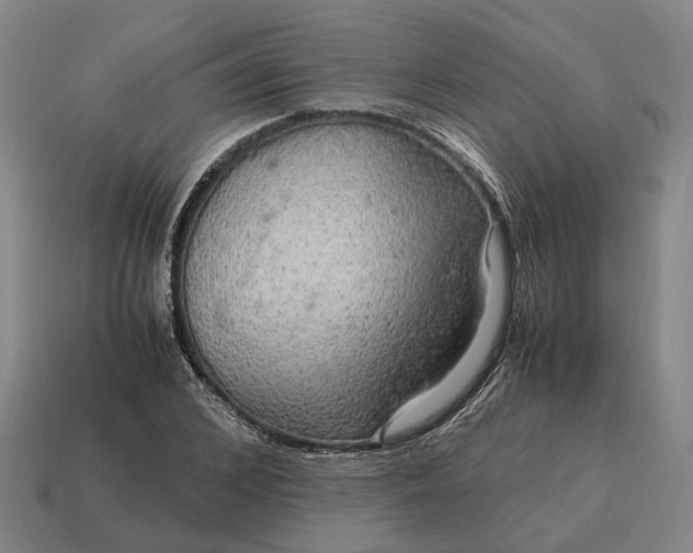 X0000115120976200911101623