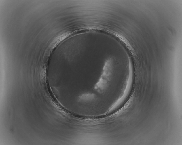 X0000115120977200911101623