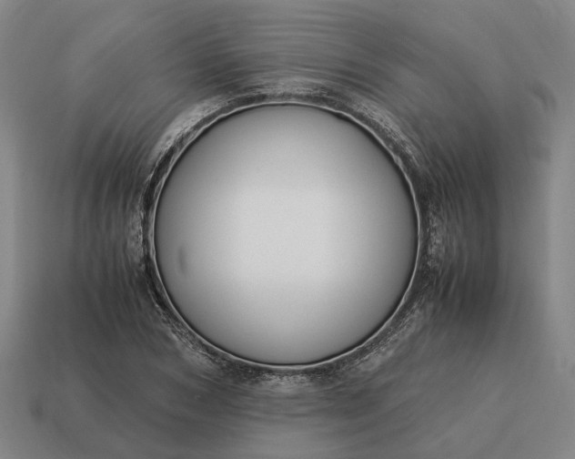 X0000115120978200911101623