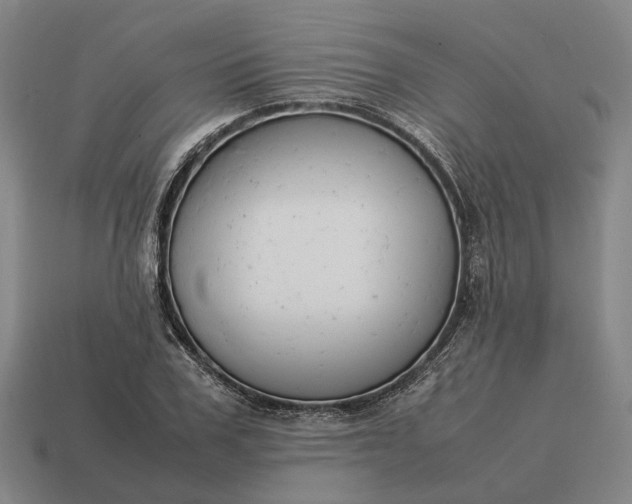 X0000115120979200911101623