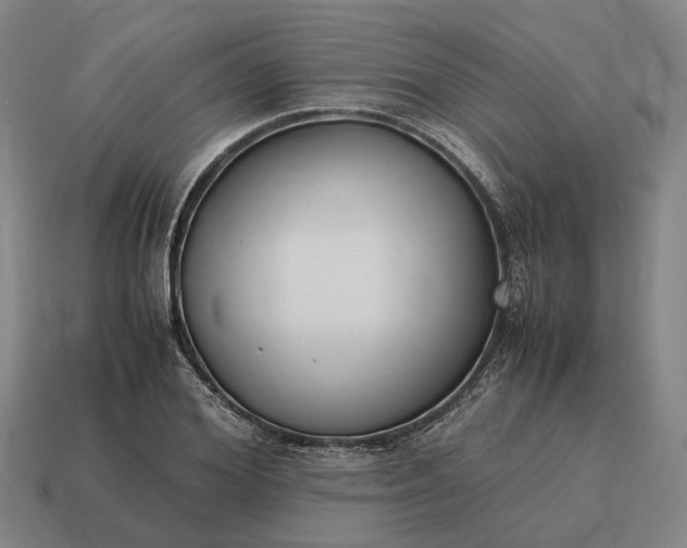 X0000115120980200911101623