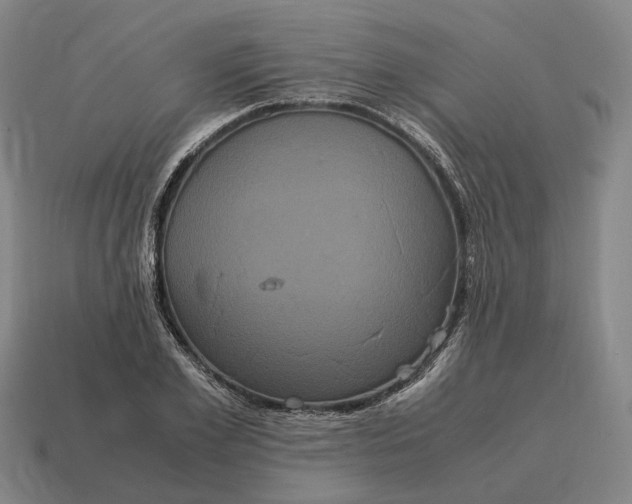 X0000115120981200911101623