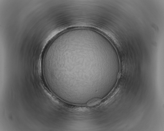 X0000115120982200911101623