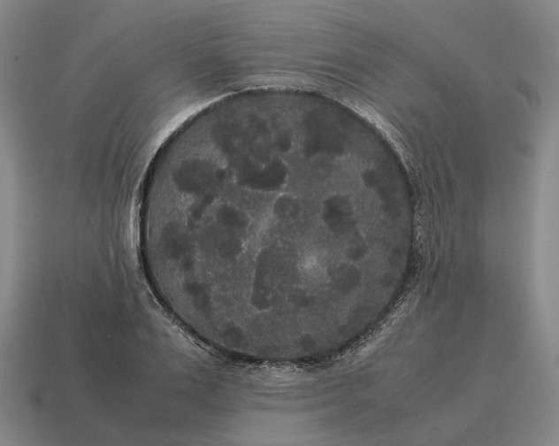 X0000115120983200911101623