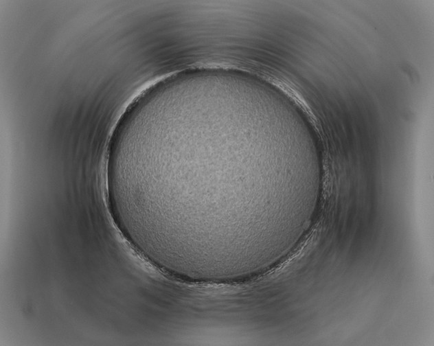 X0000115120984200911101623