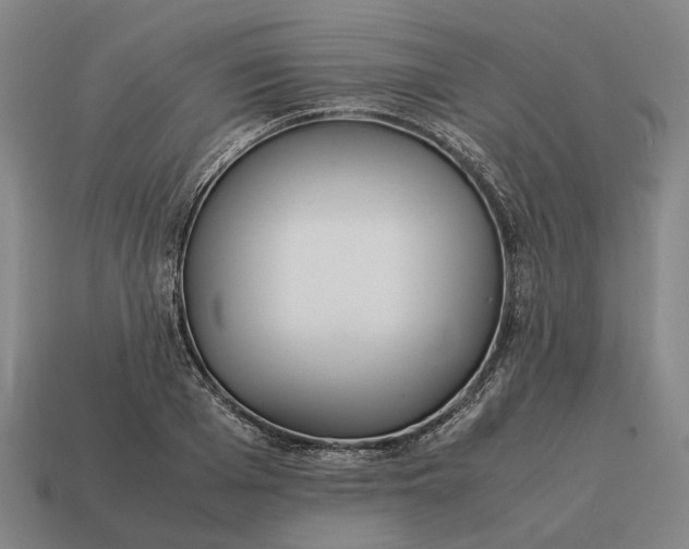 X0000115120985200911101623
