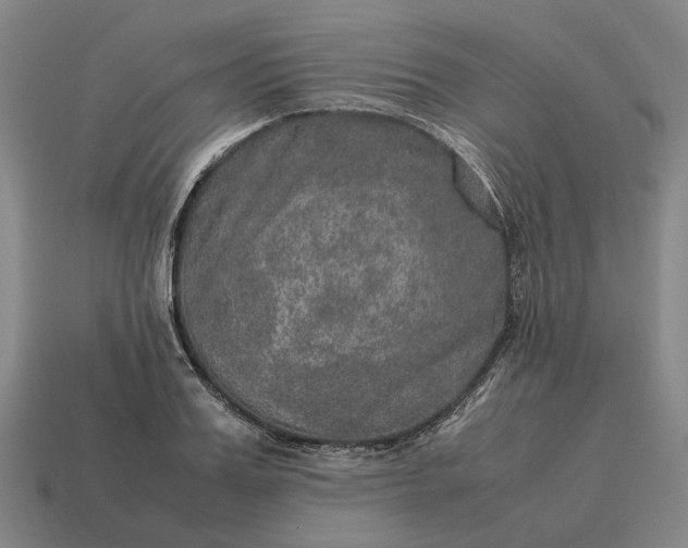X0000115120987200911101623