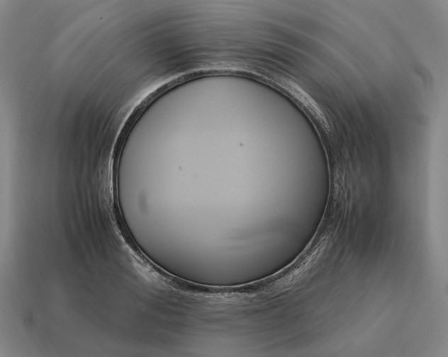 X0000115120988200911101623
