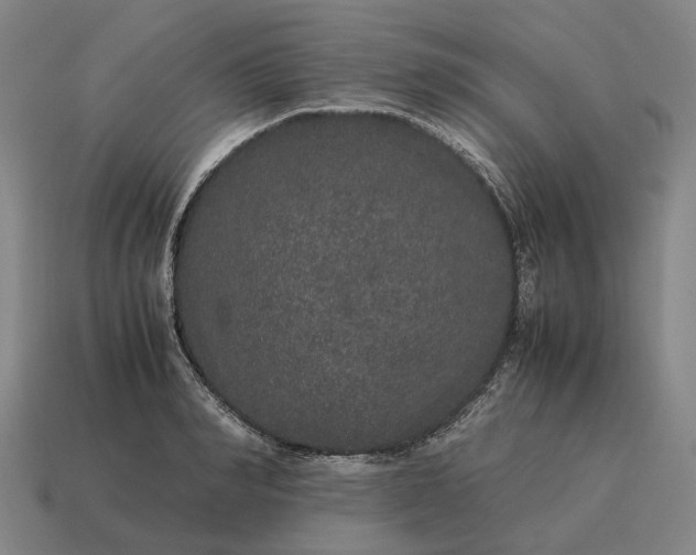 X0000115120990200911101623